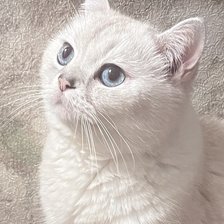 Схема вышивки «Жорик»