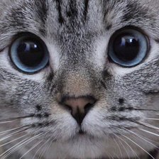 Схема вышивки «№2765418»