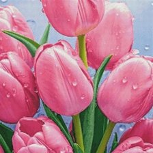 Схема вышивки «Тюльпаны 2»