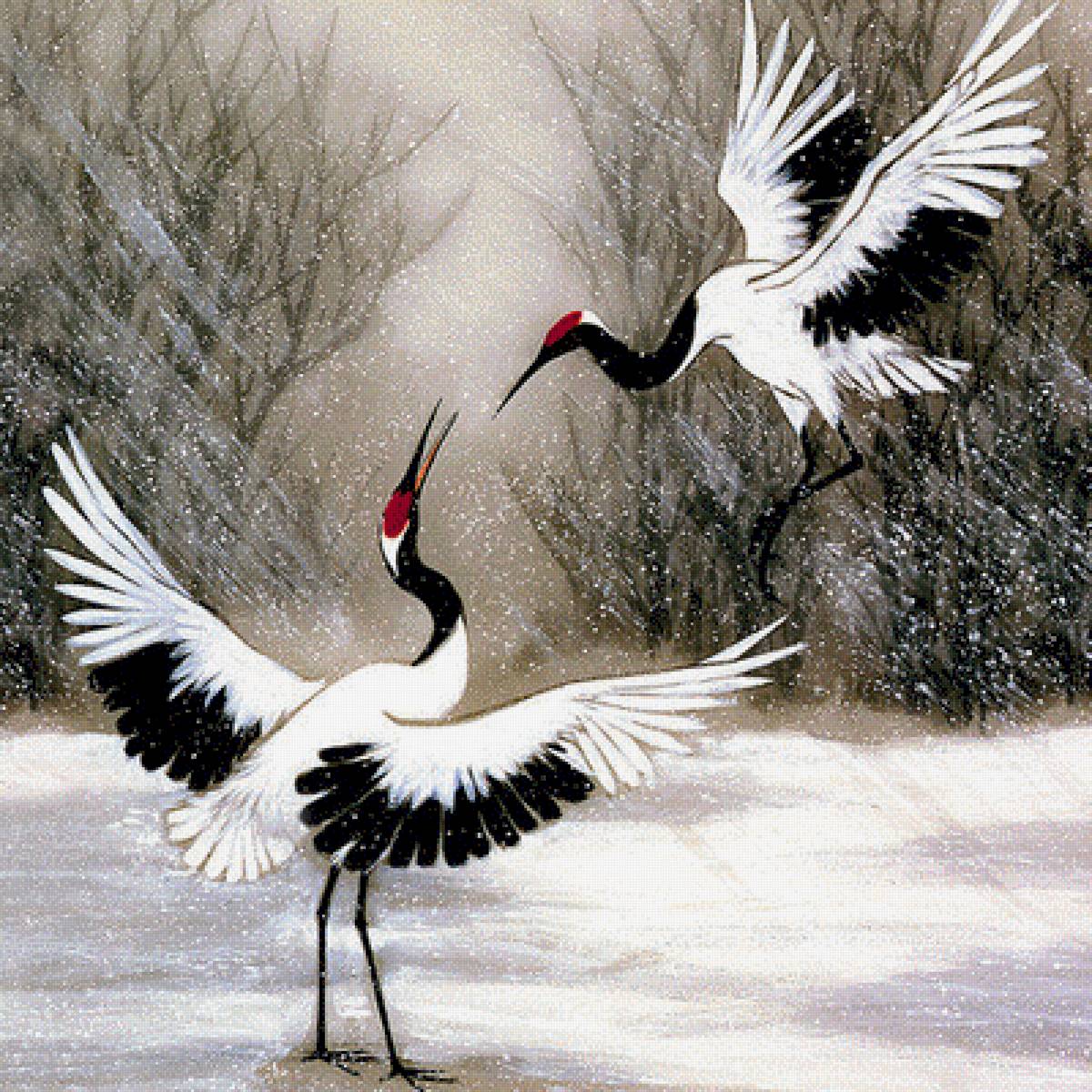 Журавли - предпросмотр