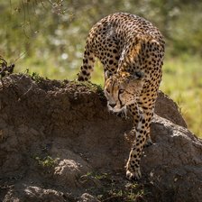 Схема вышивки «№2766895»