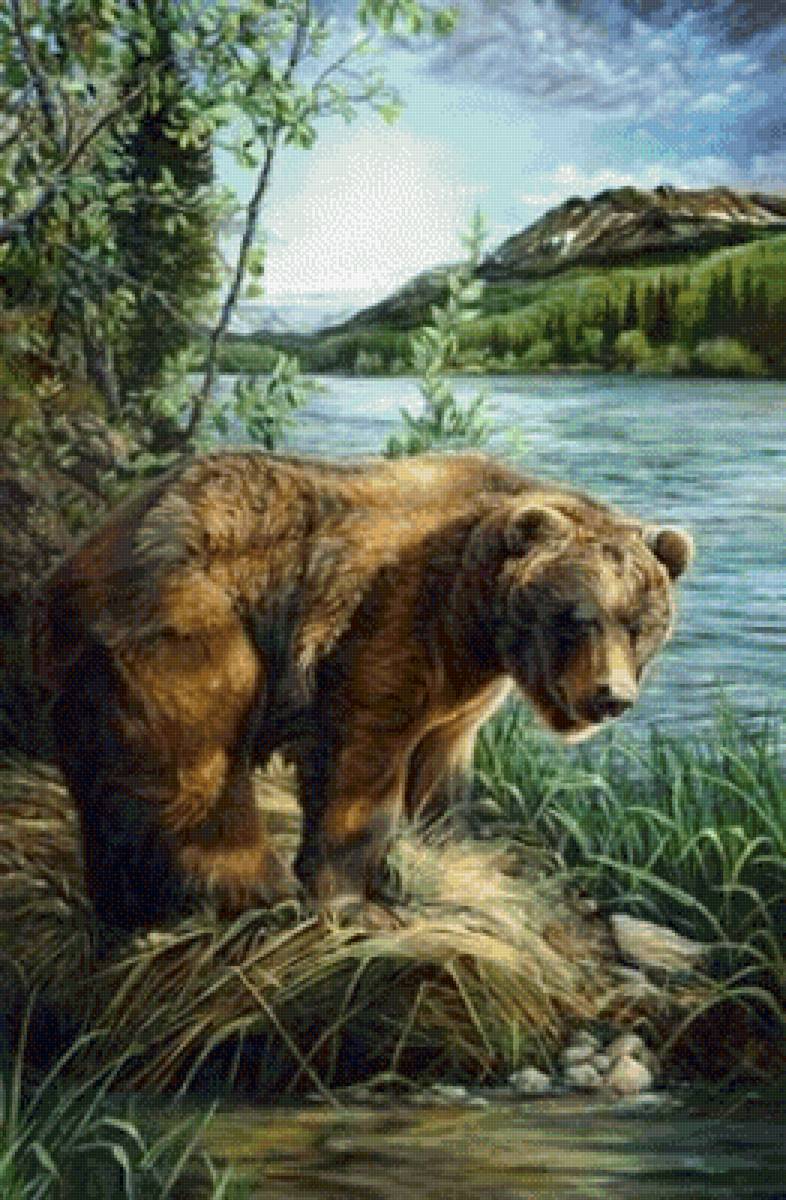 Мишка на водопое - художники - предпросмотр