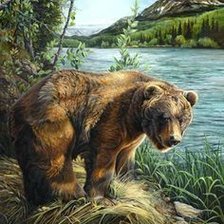 Мишка на водопое