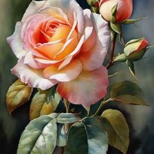 Схема вышивки «Прекрасная роза»