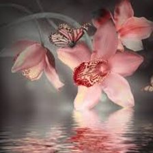 Схема вышивки «Орхидея»