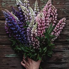 Схема вышивки «Люпины»