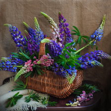 Схема вышивки «Люпины»