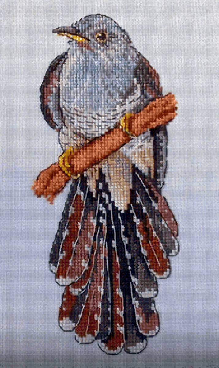 22244 - предпросмотр