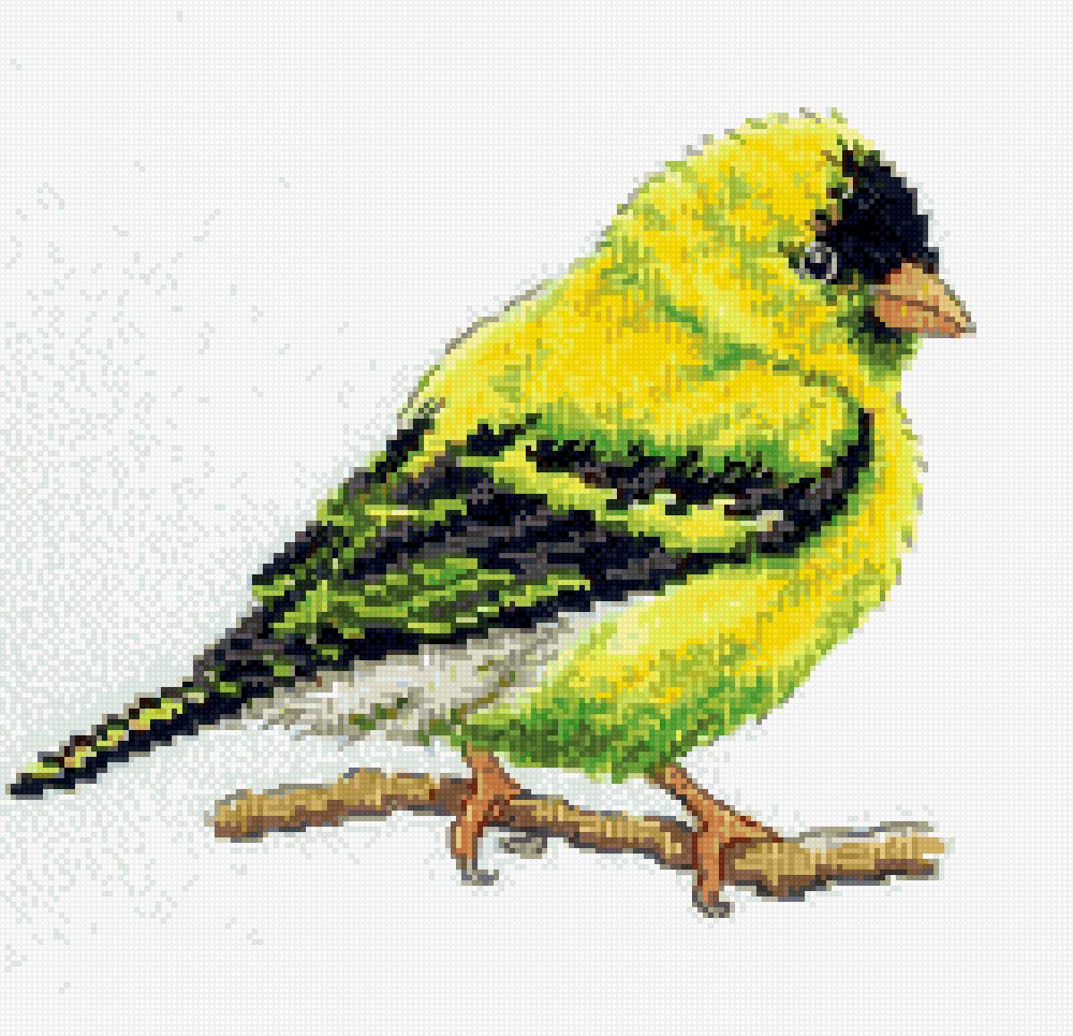 46567 - предпросмотр