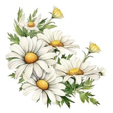 Схема вышивки «ромашки»