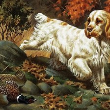 Схема вышивки «№2768508»