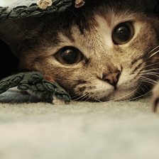 Схема вышивки «№2768673»