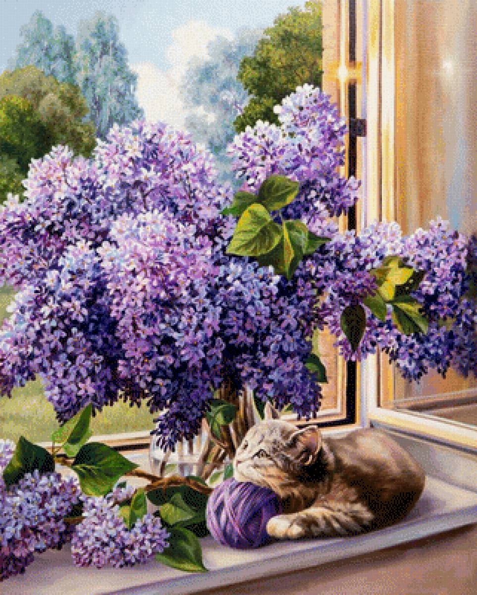 Кот и сирень. - лето, сирень, кот - предпросмотр