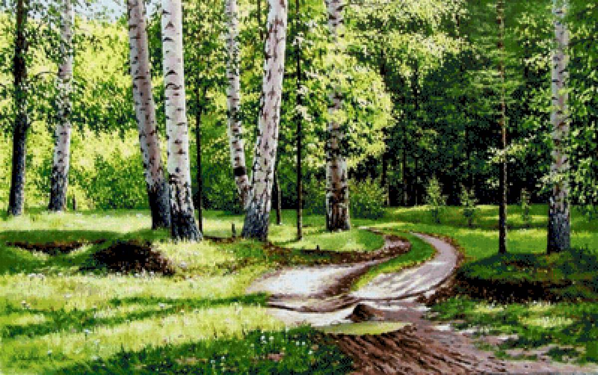 №2768796 - лес, тропинка, деревья, березки, природа - предпросмотр