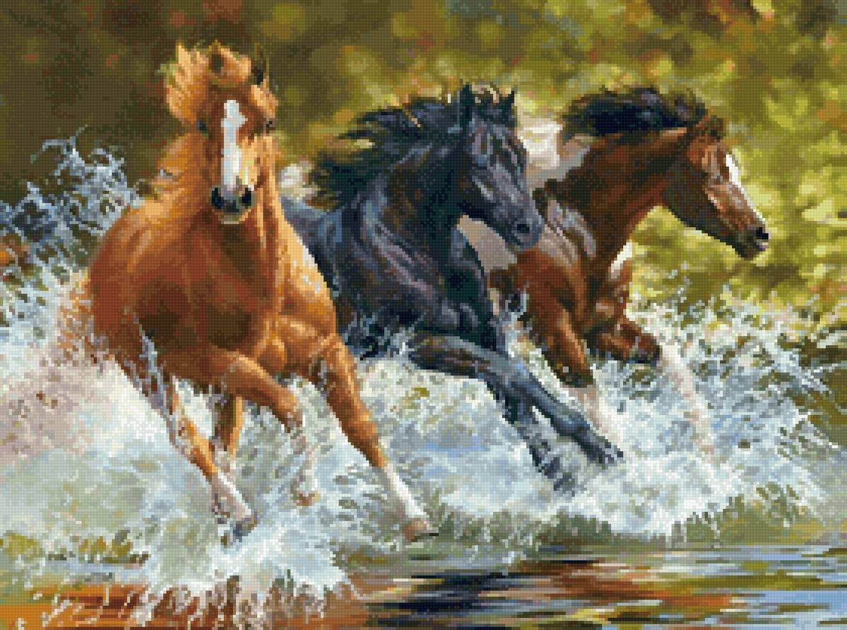 Грация и скорость - кони, лошади, грация, скорость, бег - предпросмотр