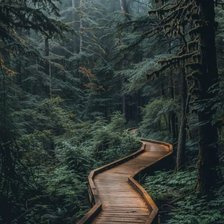 Схема вышивки «Маленькая дорожка, через лес ведущая...»