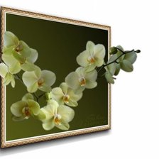 Схема вышивки «№2769045»