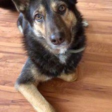 Схема вышивки «Руна»