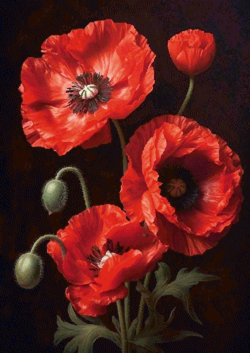 Маки - предпросмотр