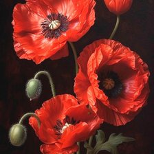 Схема вышивки «Маки»