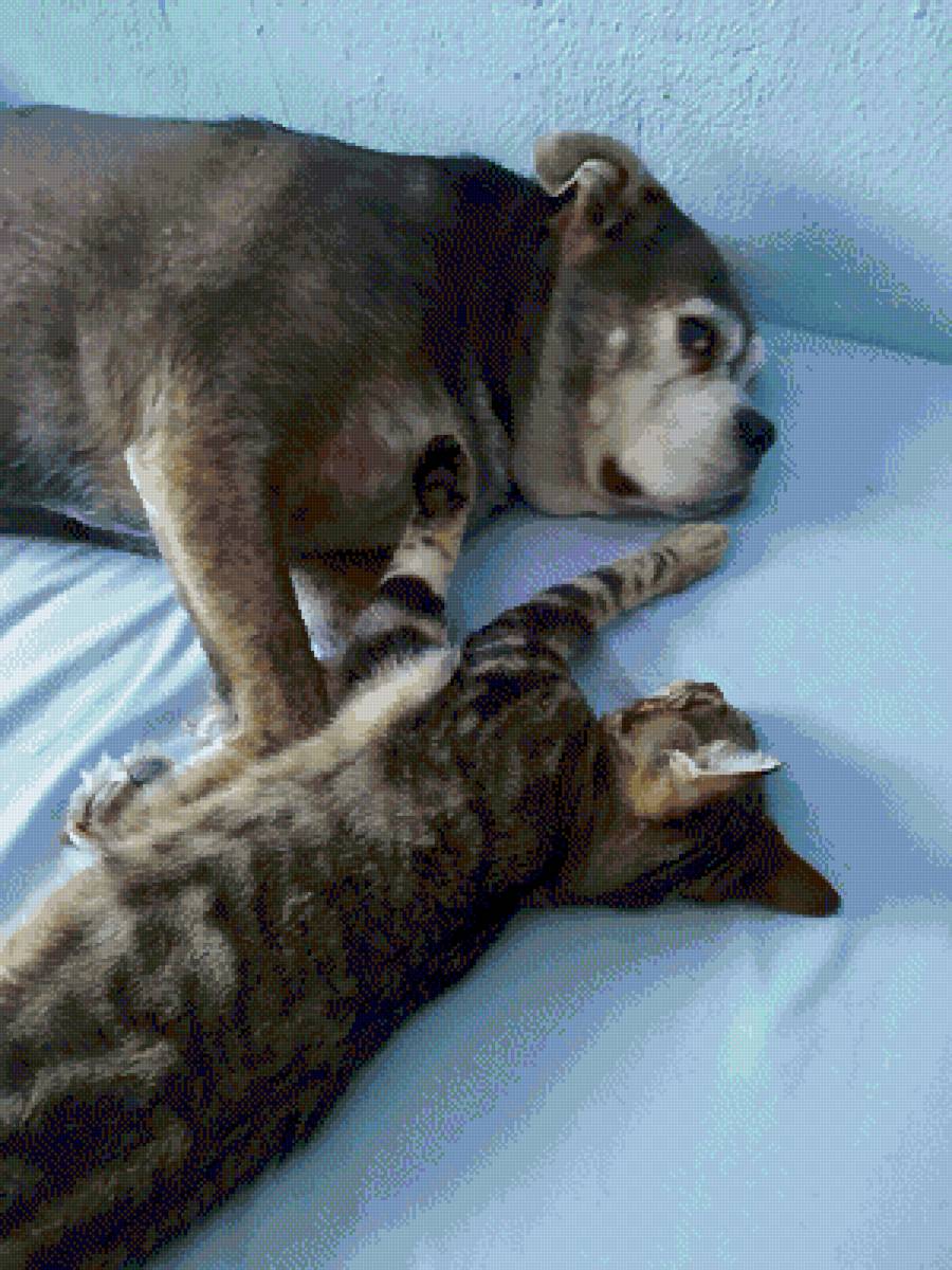 Tita y Mauricio - предпросмотр