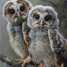 Схема вышивки «№2769579»