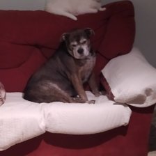 Схема вышивки «№2770220»