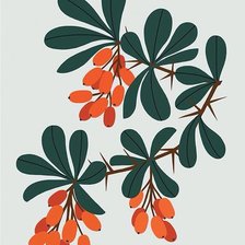 Схема вышивки «Барбарис»