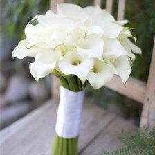 Схема вышивки «Калы»