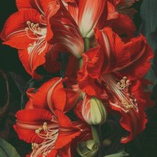 Схема вышивки «653»