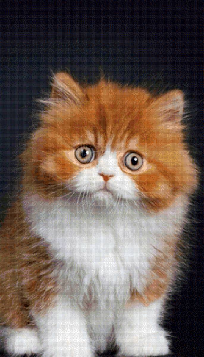 №2771729 - предпросмотр