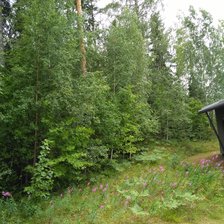 Схема вышивки «Лесной домик»