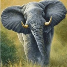 Схема вышивки «Слон»