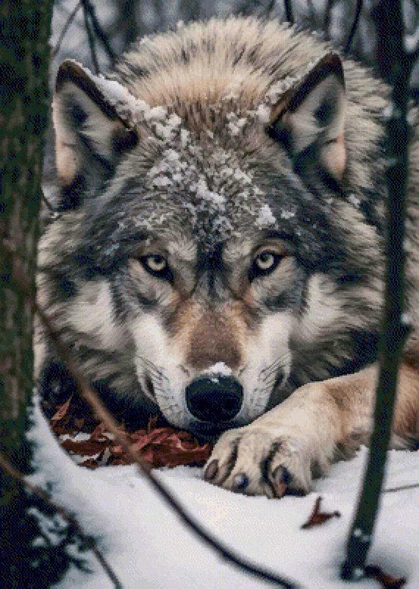 №2772210 - предпросмотр