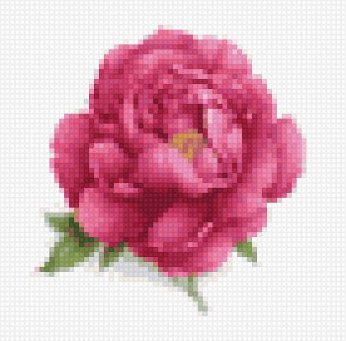 Бутон розы - бутон, роза - предпросмотр