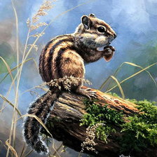 Схема вышивки «на пне»