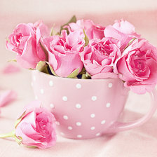 Розы в чашке