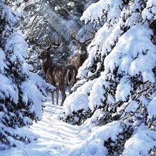 Схема вышивки «Олени зимой»