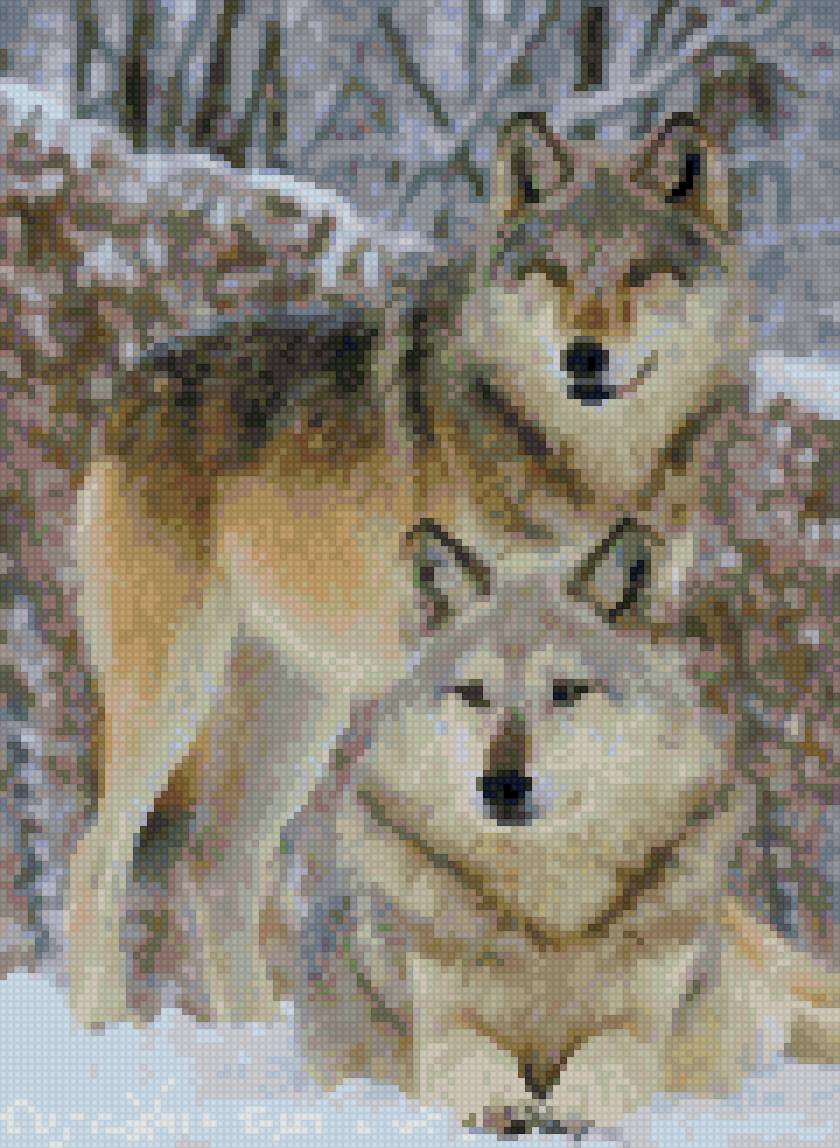 Волки - волки - предпросмотр