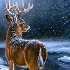 Схема вышивки «№2773187»