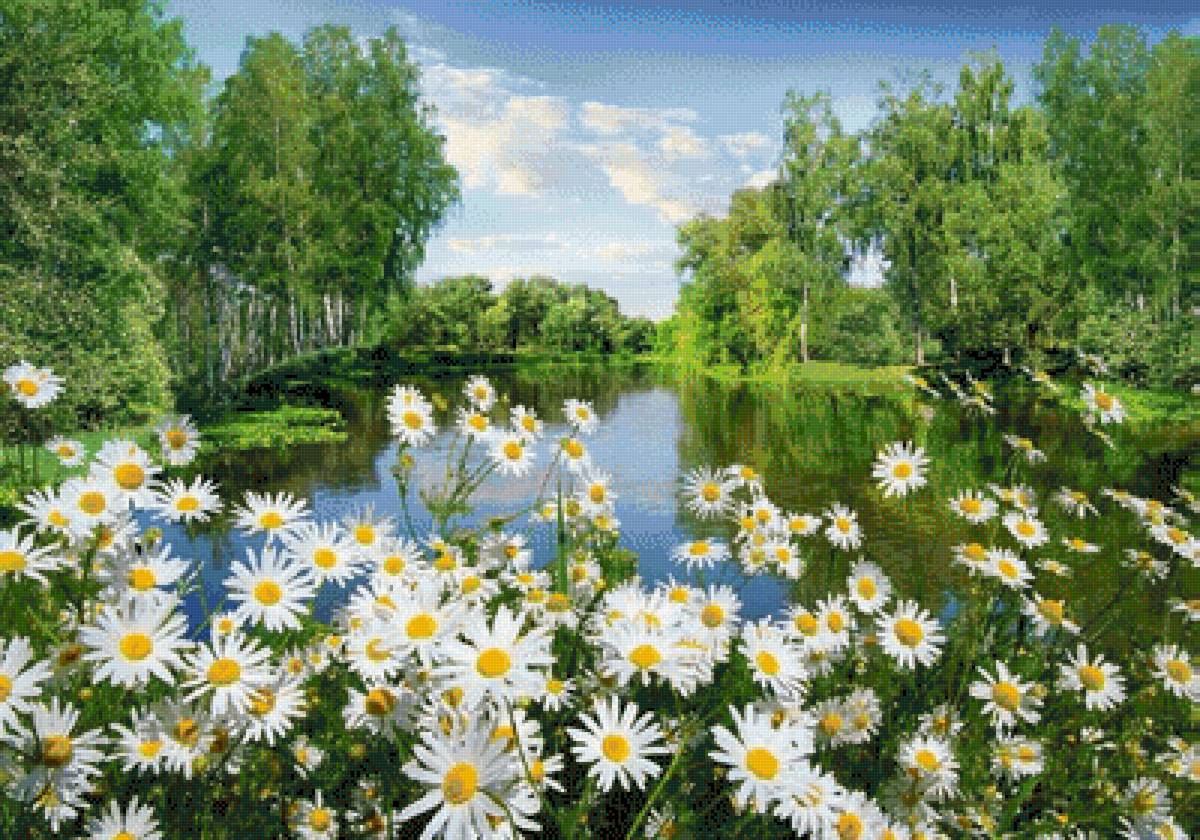 Летний пейзаж - деревья, ромашки, пейзаж, поле, лето, природа., река - предпросмотр