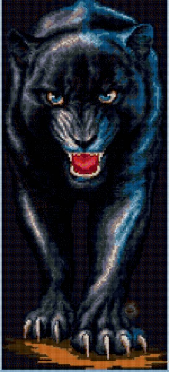 пантера - хищники - предпросмотр