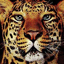 Схема вышивки «леопард»