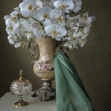 Схема вышивки «Белые Архидеи»