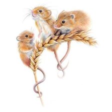 Схема вышивки «№2774151»