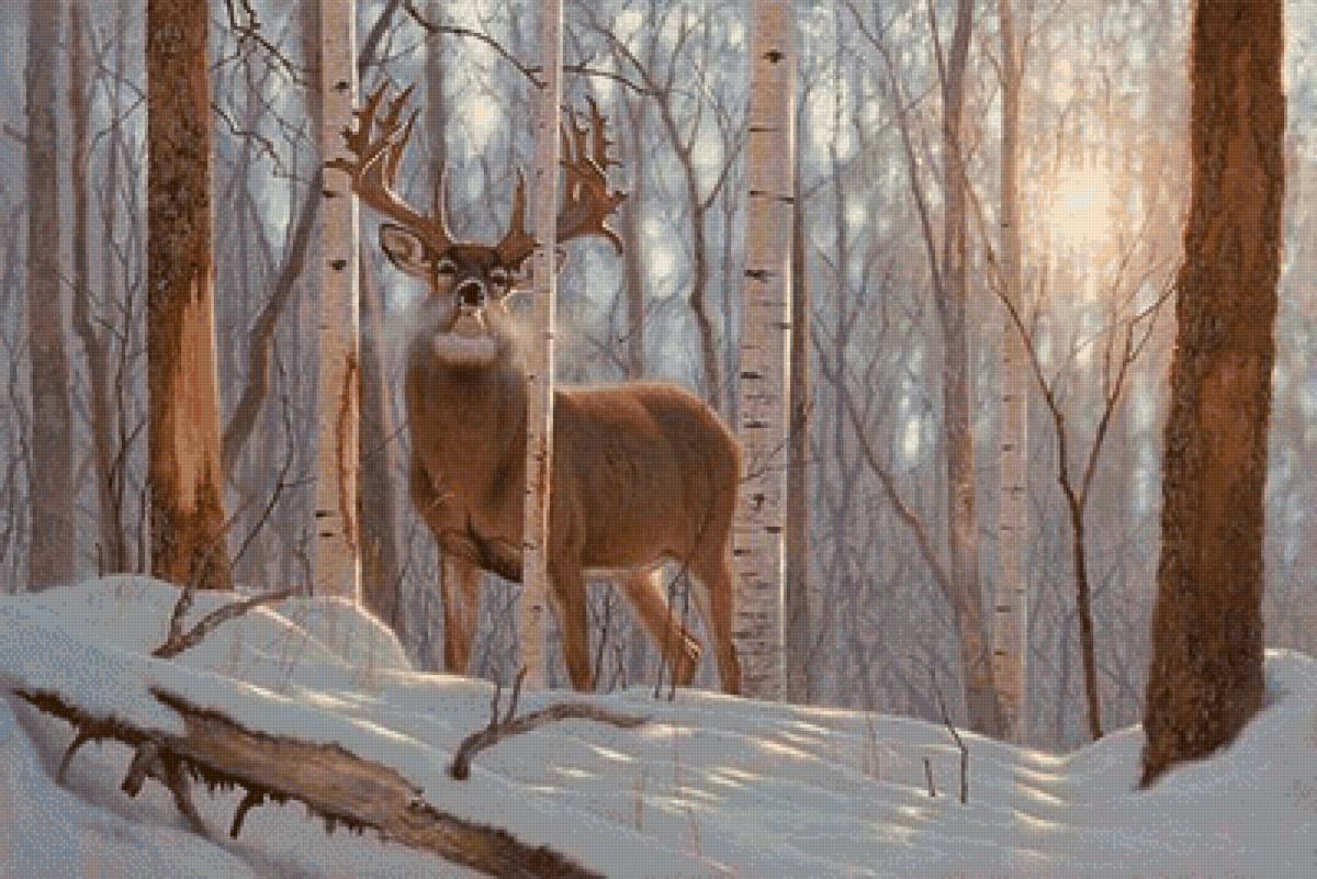 №2774247 - предпросмотр