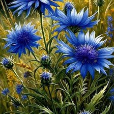 Схема вышивки «№2774464»