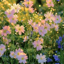 Схема вышивки «Truc»