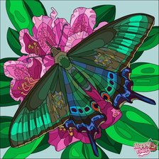 Схема вышивки «Серия Подушки»