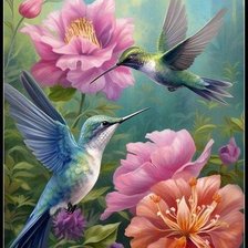 Схема вышивки «колибри»